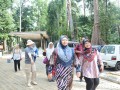 Tn PPTC 160
